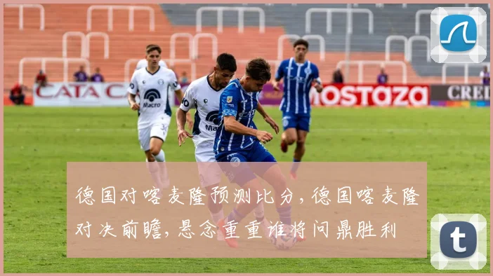 德国对喀麦隆预测比分,德国喀麦隆对决前瞻,悬念重重谁将问鼎胜利