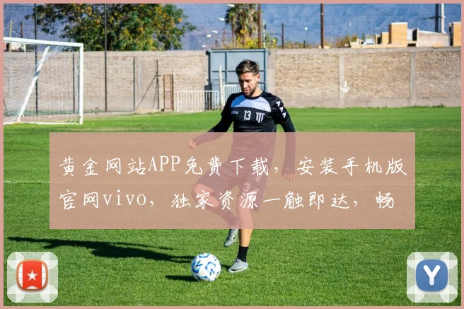 黄金网站APP免费下载，安装手机版官网vivo，独家资源一触即达，畅享无忧